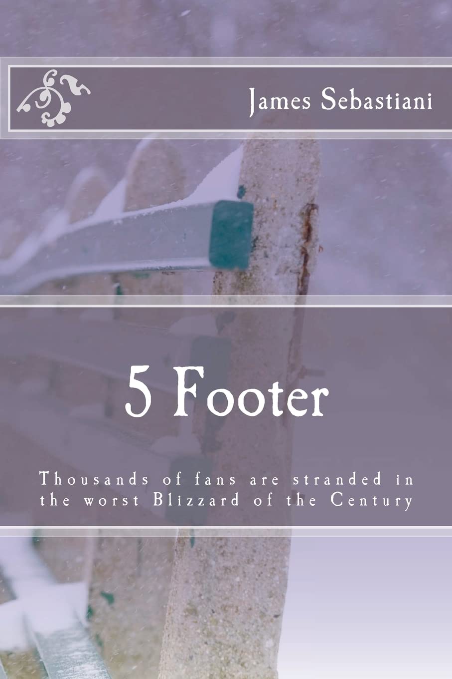 5 Footer: Thousands Of Fans Are Stranded In The Worst Blizzard Of The Century,Used