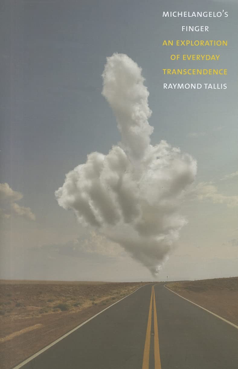 Michelangelo'S Finger: An Exploration Of Everyday Transcendence,Used
