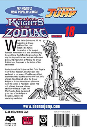 Knights of the Zodiac (Saint Seiya), Vol. 18,Used