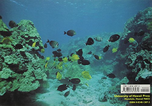 Hawaiian Reef Animals,Used