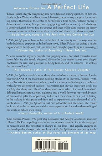 A Perfect Life: A Novel,Used