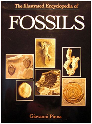The Illustrated Encyclopedia Of Fossils,Used