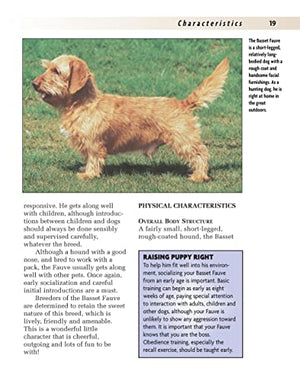Basset Fauve De Bretagne (Comprehensive Owner'S Guide)