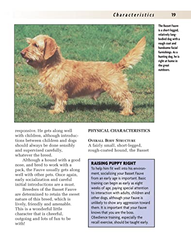 Basset Fauve De Bretagne (Comprehensive Owner'S Guide)