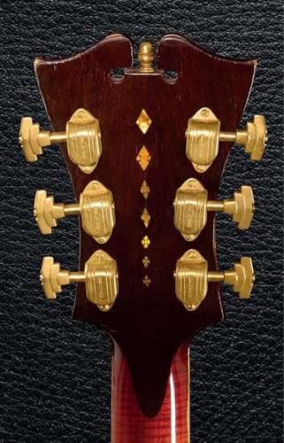 Guitar: The Worlds Most Seductive Instrument,Used