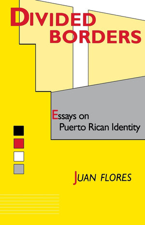 Divided Borders: Essays on Puerto Rican Identity,New