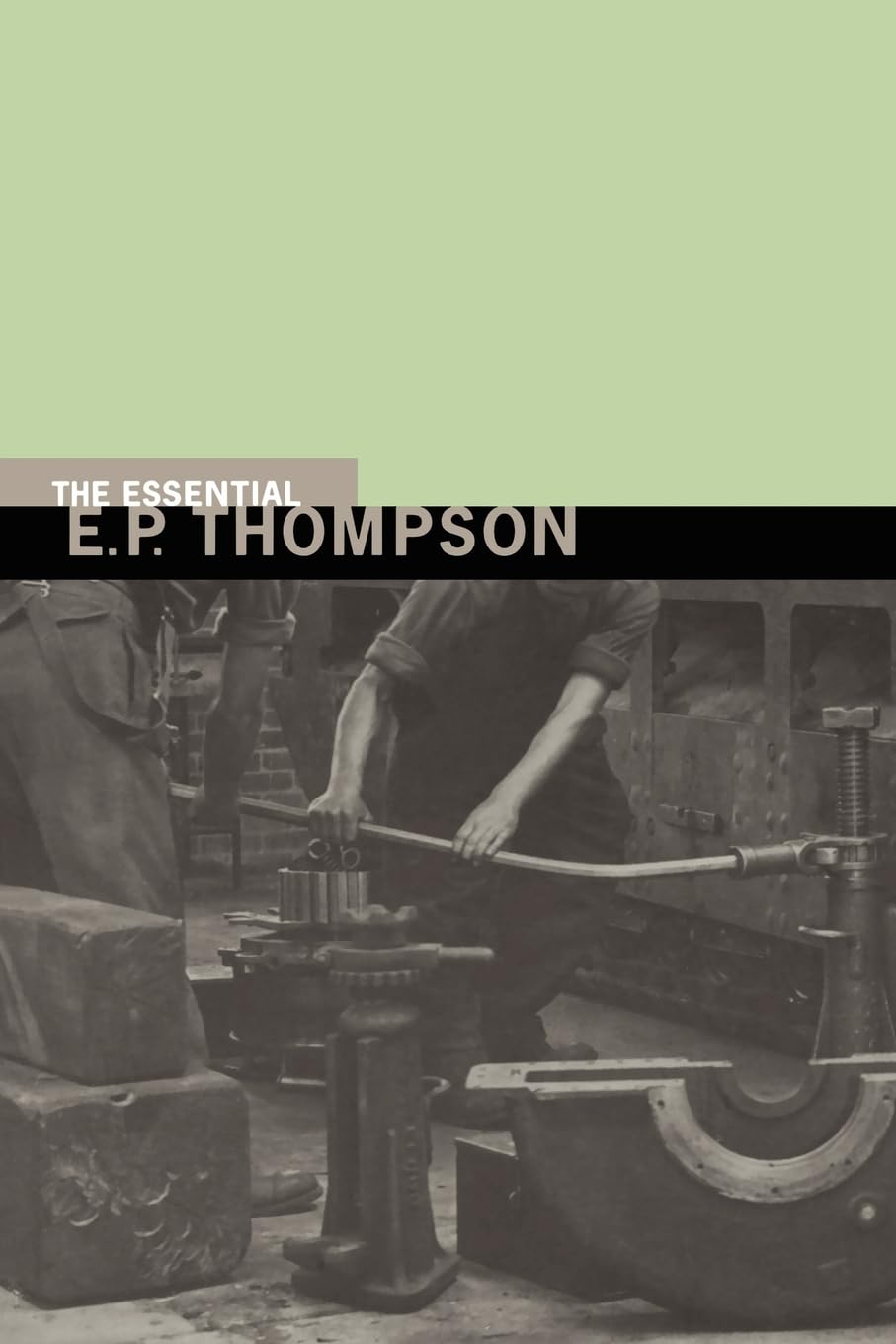 Essential E.P. Thompson (New Press Essential),Used