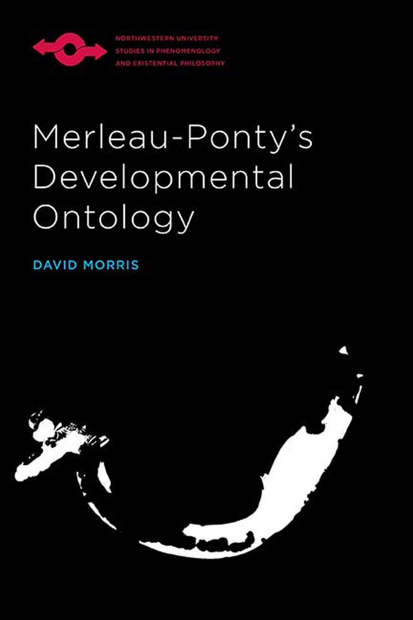 Merleaupontys Developmental Ontology (Studies In Phenomenology And Existential Philosophy),Used