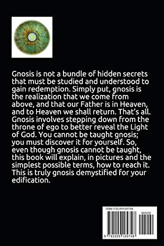 The Gnostic Gospel Illuminated: Gnosis freely dispensed and demystified,Used