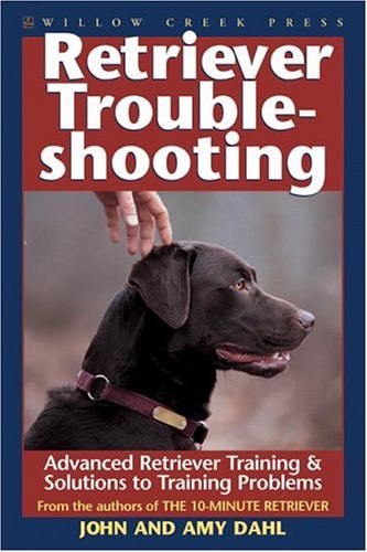 Retriever Troubleshooting: Advanced Retriever Training And Solutions To Training Problems