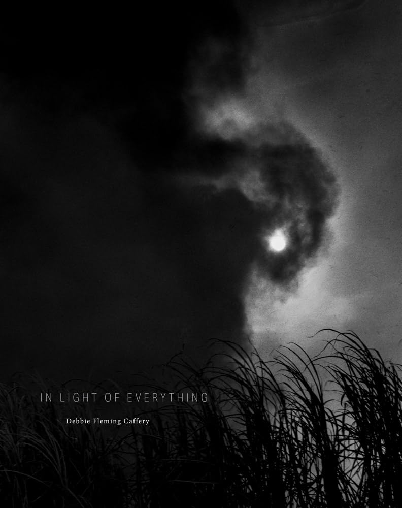 Debbie Fleming Caffery: In Light Of Everything,New