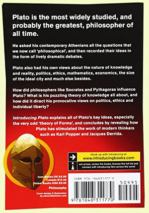Introducing Plato: A Graphic Guide (Graphic Guides),Used