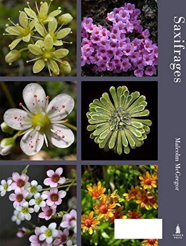 Saxifrages: The Definitive Guide To 2000 Species, Hybrids & Cultivars,Used