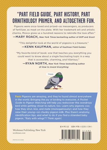 A Pocket Guide to Pigeon Watching: Getting to Know the World's Most Misunderstood Bird,Used