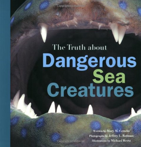 The Truth About Dangerous Sea Creatures