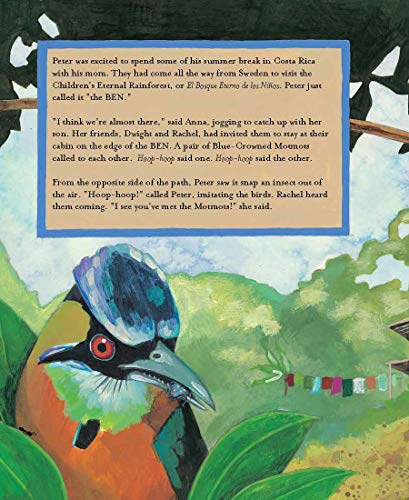 The Forever Forest: Discover the Importance of Saving Our Planet in the Perfect Activist Book for Kids (Discusses Conservation, ,Used