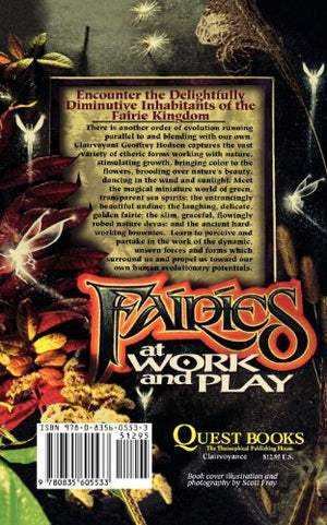 Fairies at Work and Play (A Quest Book),Used