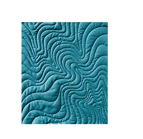 StepbyStep Texture Quilting: 65 New FreeMotion & WalkingFoot Designs,New