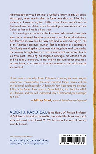 A Sorrowful Joy: A Spiritual Journey of an AfricanAmerican Man in Late TwentiethCentury America,New