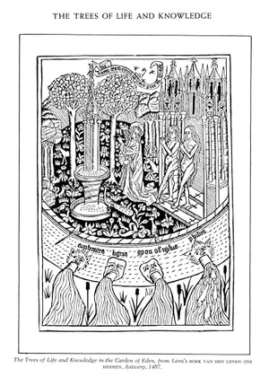 Folklore And Symbolism Of Flowers, Plants And Trees: With Over 200 Rare And Unusual Floral Designs And Illustrations (Dover Pict