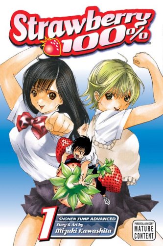 Strawberry 100%, Volume 1,Used