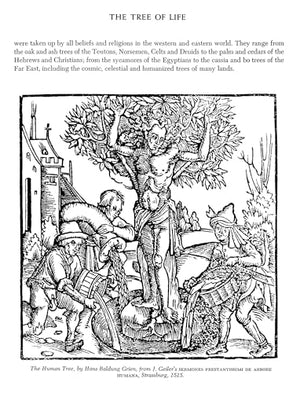 Folklore And Symbolism Of Flowers, Plants And Trees: With Over 200 Rare And Unusual Floral Designs And Illustrations (Dover Pict