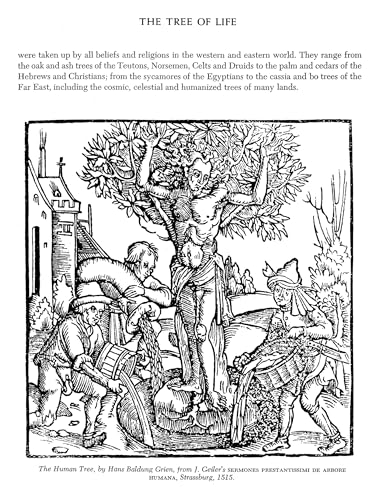 Folklore And Symbolism Of Flowers, Plants And Trees: With Over 200 Rare And Unusual Floral Designs And Illustrations (Dover Pict