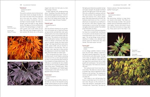 Timber Press Japanese Maples: Complete Guide to Selection and Cultivation, 4th Edition