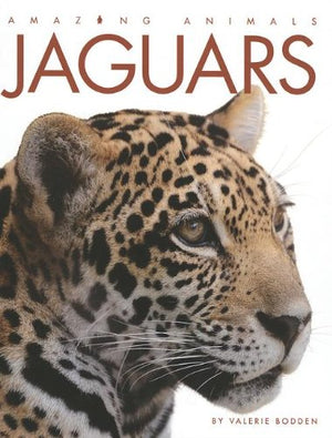 Amazing Animals  Classic Edition: Jaguars Hardcover,Used