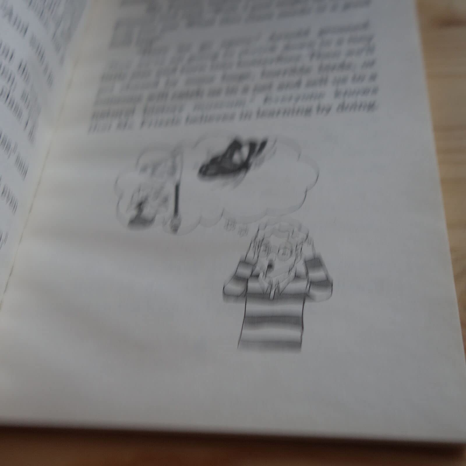 Butterfly Battle (The Magic School Bus Chapter Book #16),New