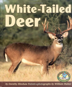 WhiteTailed Deer (Early Bird Nature Books),Used