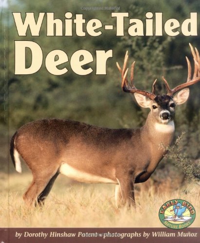 WhiteTailed Deer (Early Bird Nature Books),Used