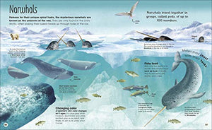 Earth'S Incredible Oceans (The Magic And Mystery Of The Natural World)