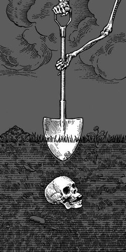 Rest in Pieces: The Curious Fates of Famous Corpses,Used