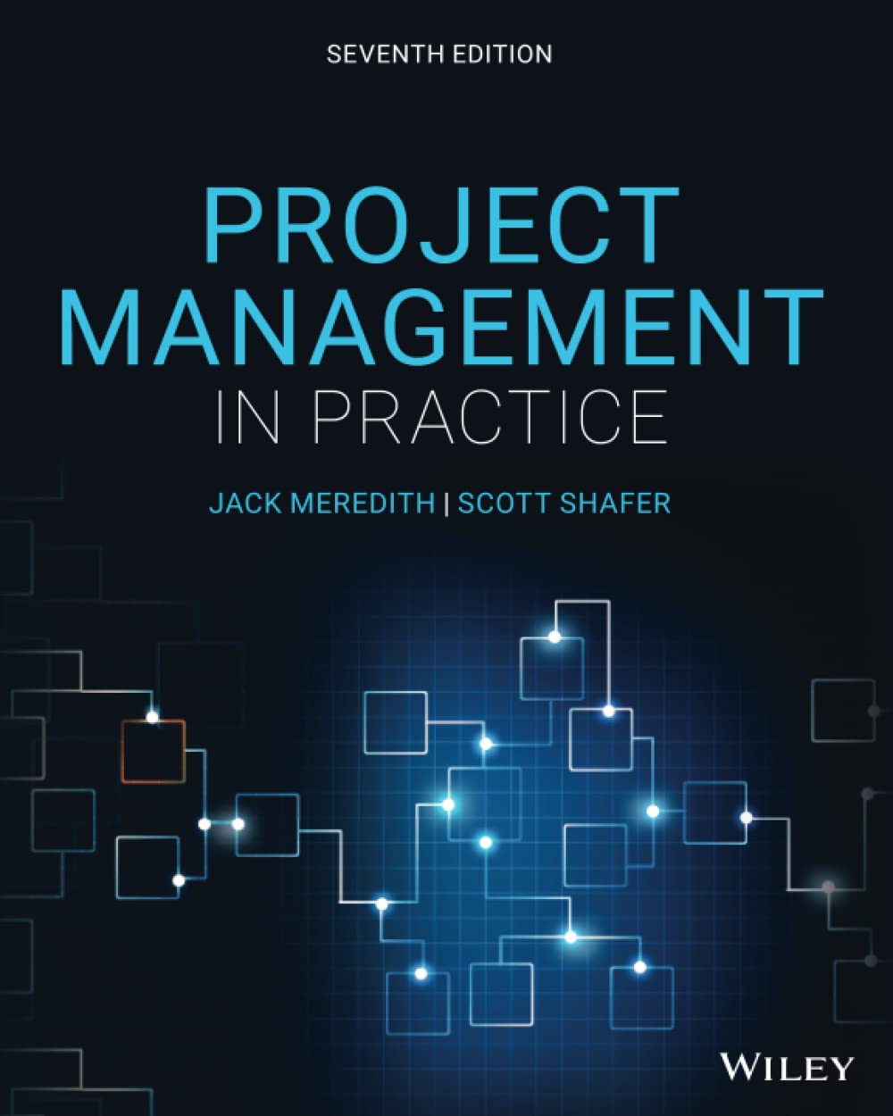 Project Management in Practice,New