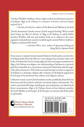 Magic Of The Ordinary: Recovering The Shamanic In Judaism