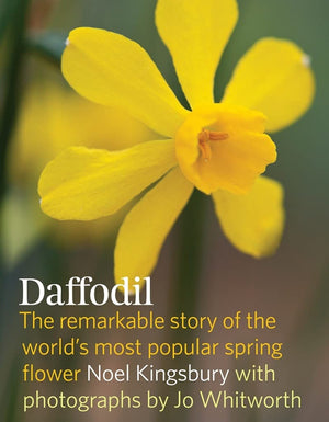 Daffodil: The remarkable story of the world's most popular spring flower,New