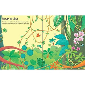 Jungle (Usborne First Sticker Book),Used