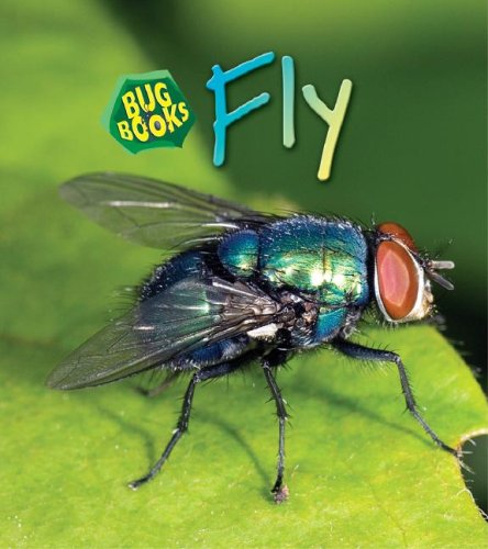 Fly (Bug Books),Used