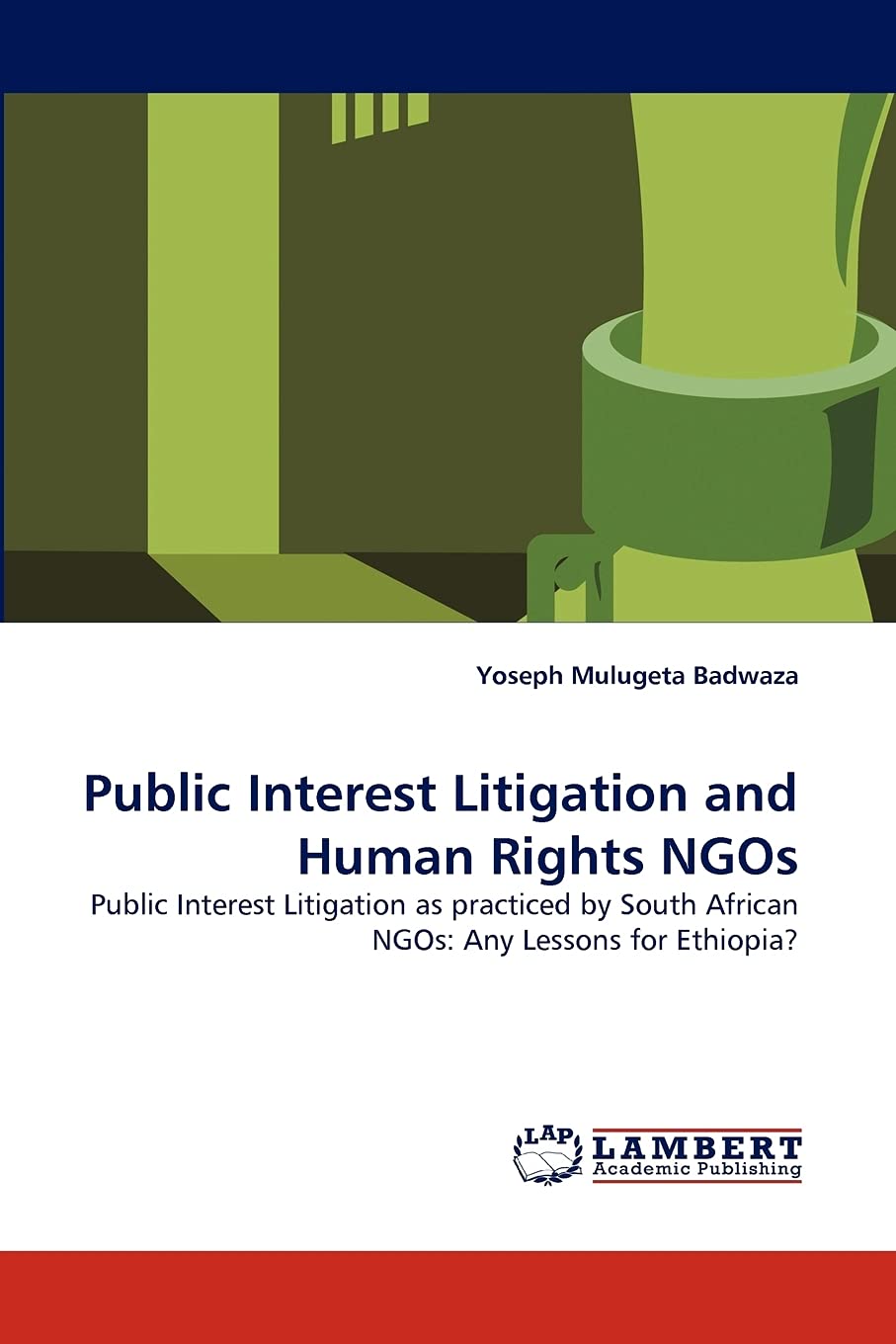 Public Interest Litigation and Human Rights NGOs: Public Interest Litigation as practiced by South African NGOs: Any Lessons for,Used