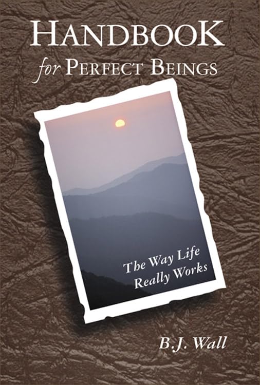 Handbook for Perfect Beings: The Way Life Really Works,Used