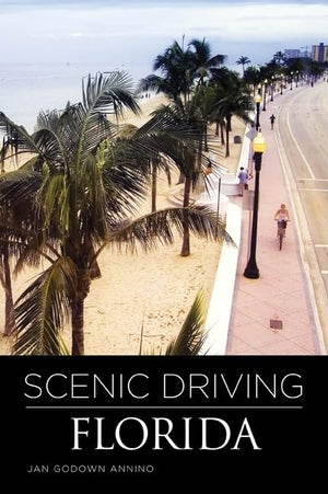 Scenic Driving Florida,New