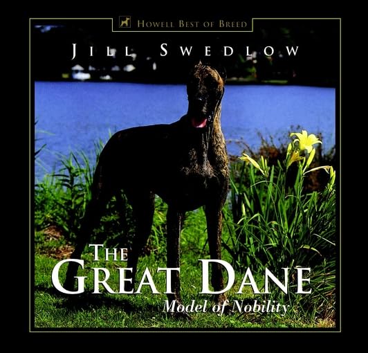 Great Dane: Model of Nobility,Used