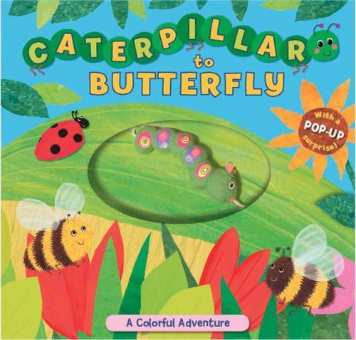 Caterpillar to Butterfly: A Colorful Adventure,Used