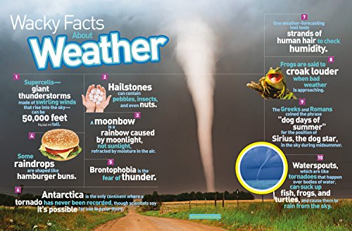 Bet You Didn't Know: Fascinating, Farout, Funtastic Facts!,New