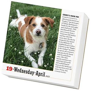 365 Dogs PageADay Calendar 2023: The World's Favorite Dog Calendar,Used