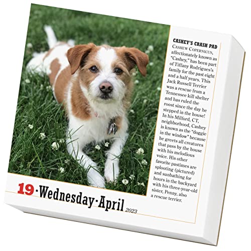 365 Dogs PageADay Calendar 2023: The World's Favorite Dog Calendar,Used