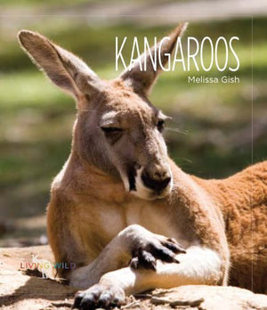 Living Wild: Kangaroos