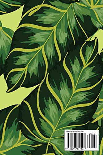 Address Book: For Contacts, Addresses, Phone, Email, Note,Emergency Contacts,Alphabetical Index With Banana Leaves Tropical Seam,Used