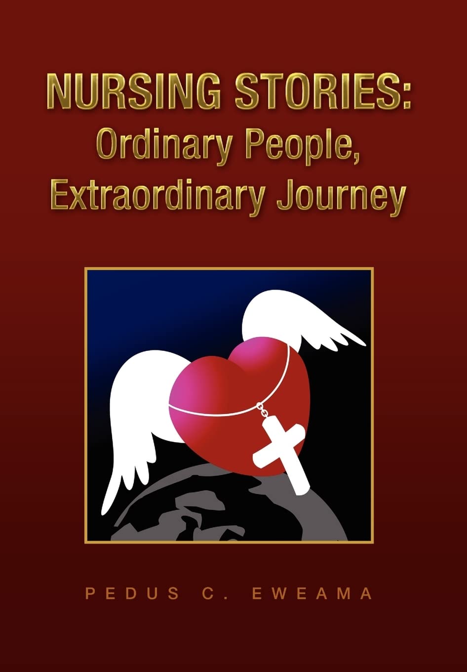 Nursing Stories: Ordinary People, Extraordinary Journey,Used